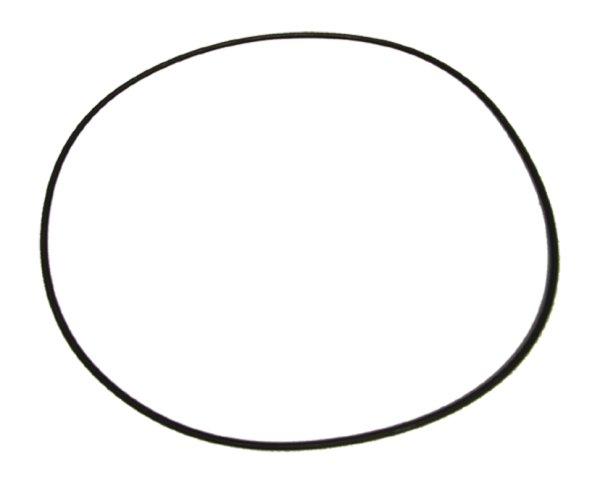 O-Ring für Filterbehälter / Deckel