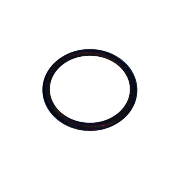 Dichtung 19 x 2 mm